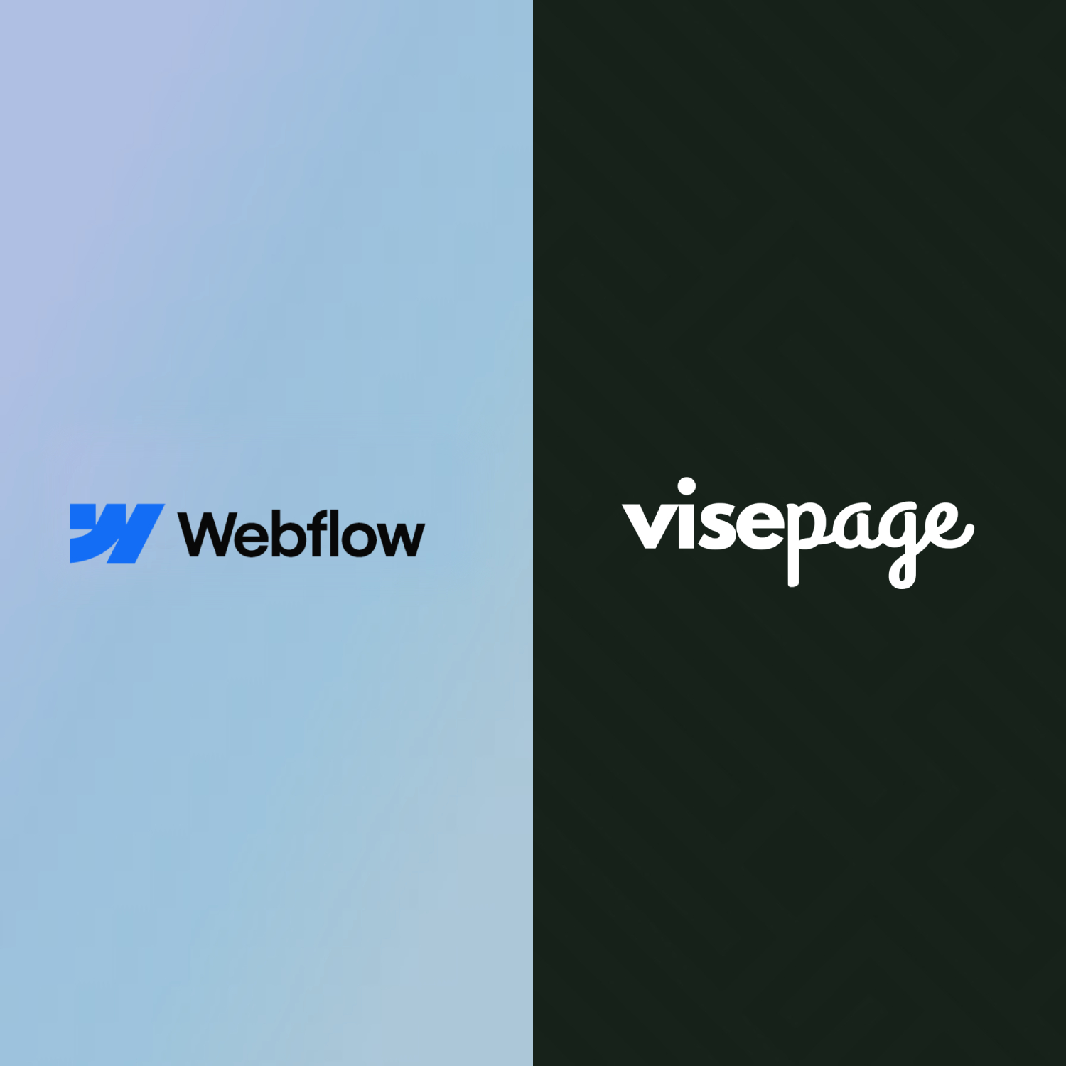 Webflow custom design services site compared with VisePage's conversion-ready advisor page